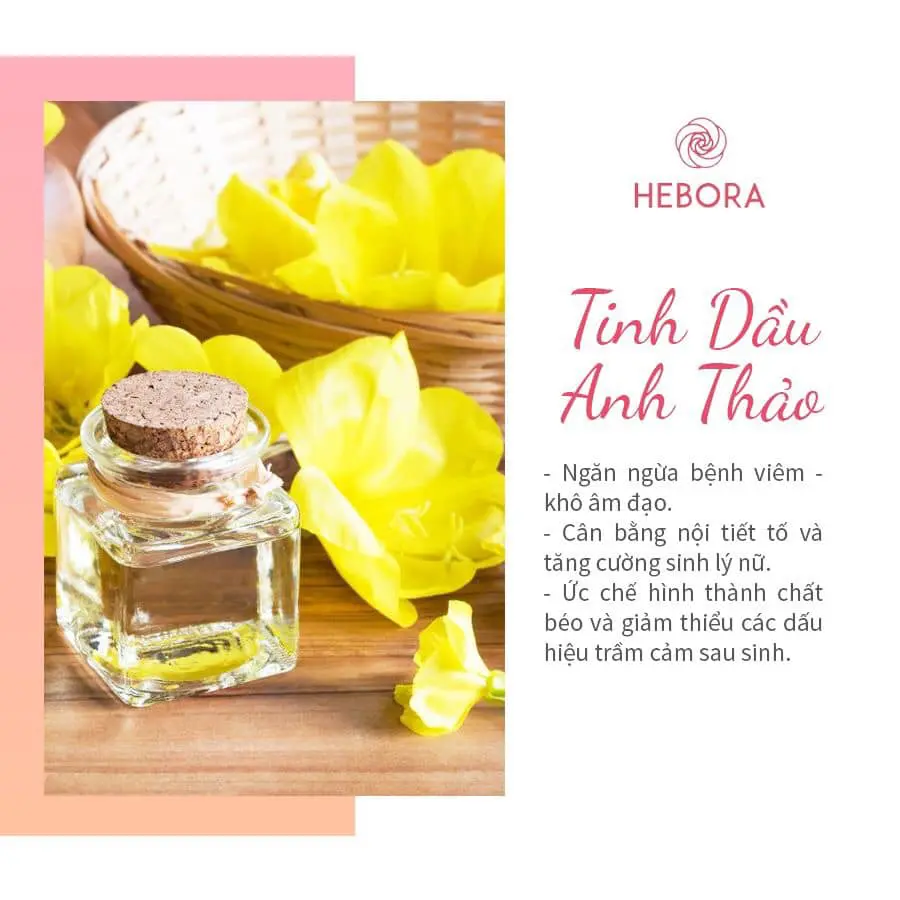 Tinh dầu hoa Anh Thảo - Thành phần viên uống Hebora