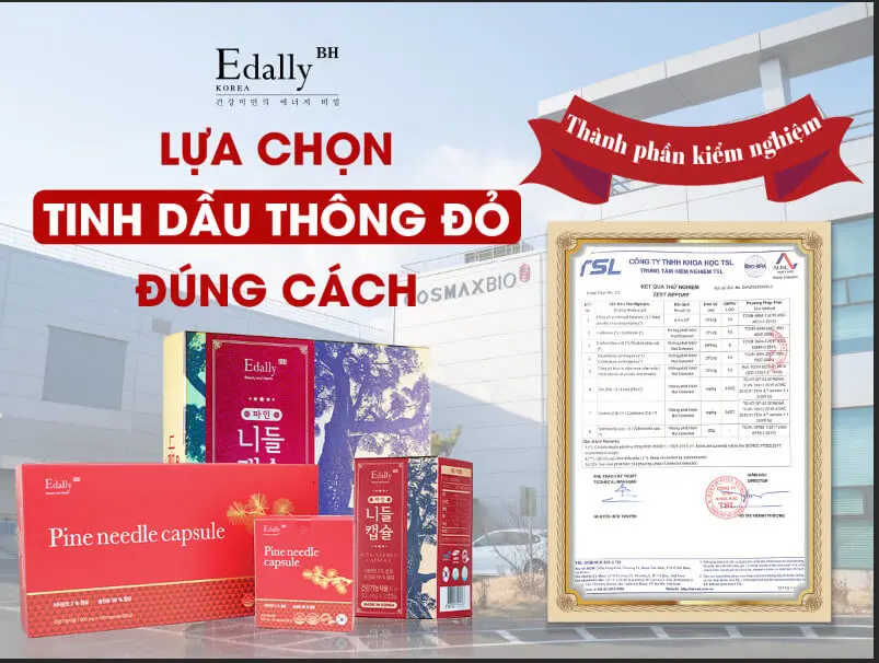 thành phần tinh dầu thông đỏ edally mẫu mới myphamhera.com