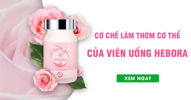 Cơ chế làm thơm cơ thể của viên uống Hebora