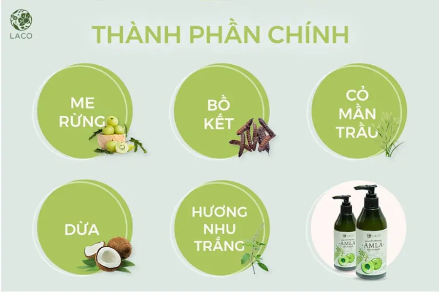 Thành phần dầu gội AMLA LACO