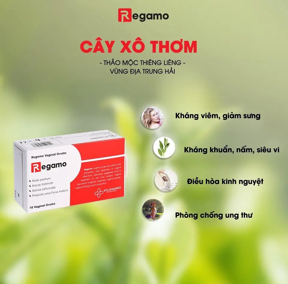 Thành phần viên đặt REGAMO