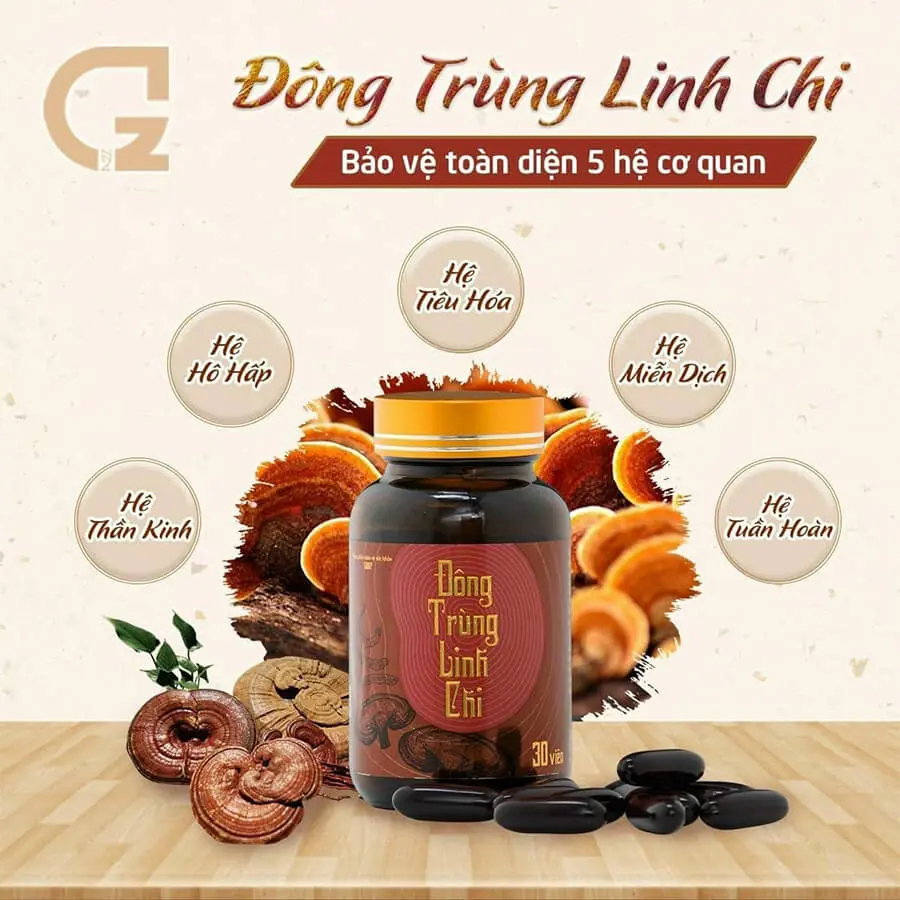 công dụng viên uống đông trùng linh chi myphamhera.com