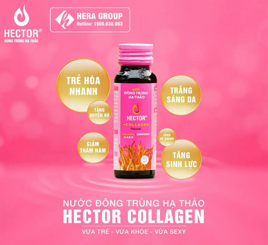 công dụng nước uống đông trùng hạ thảo hector collagen myphamhera.com