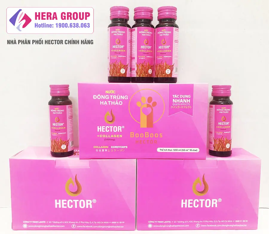 nước đống trùng hạ thảo hector collagen chính hãng myphamhera.com