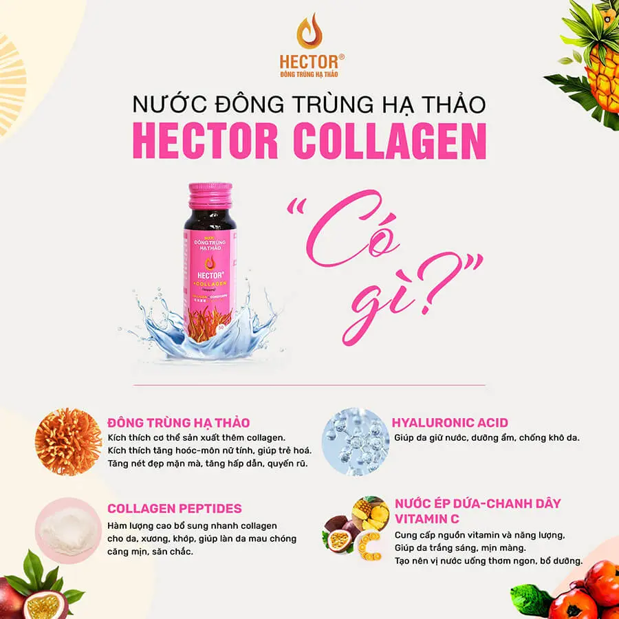 thành phần nước đông trùng hạ thảo hector collagen myphamhera.com