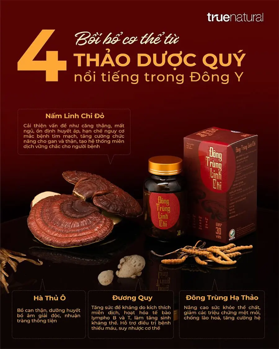 4 loại thảo dược đông trùng linh chi myphamhera.com