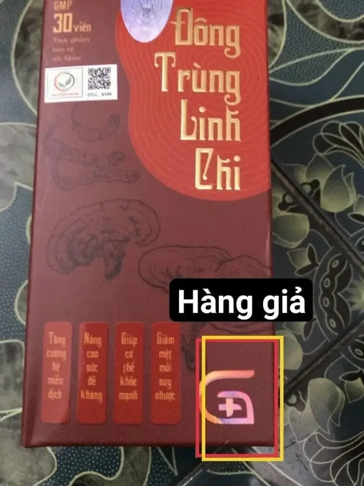 cách phân biệt đông trùng linh chi thật giả myphamhera.com