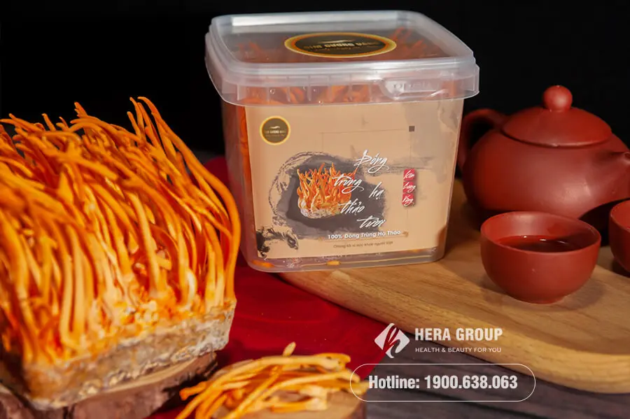 đông trùng hạ thảo tươi kim cương vàng hộp 150gram myphamhera.com