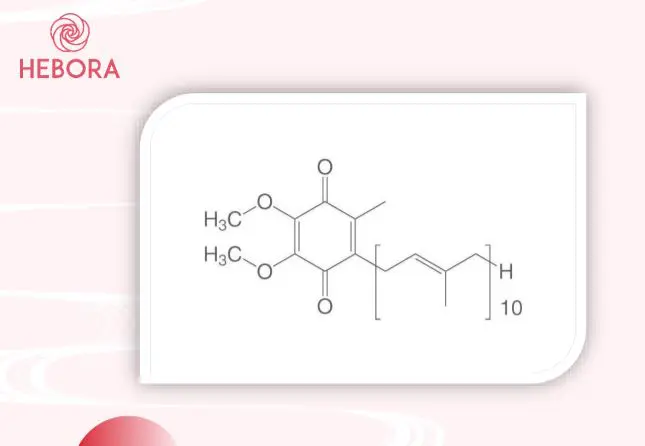 thành phần nước uống nhau thai heo hebora placenta myphamhera.com