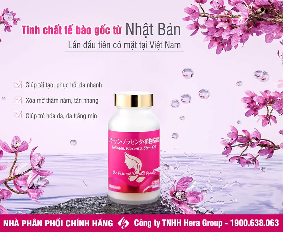 công dụng viên uống tế bào gốc collagen placenta stem cell nhật bản myphamhera.com