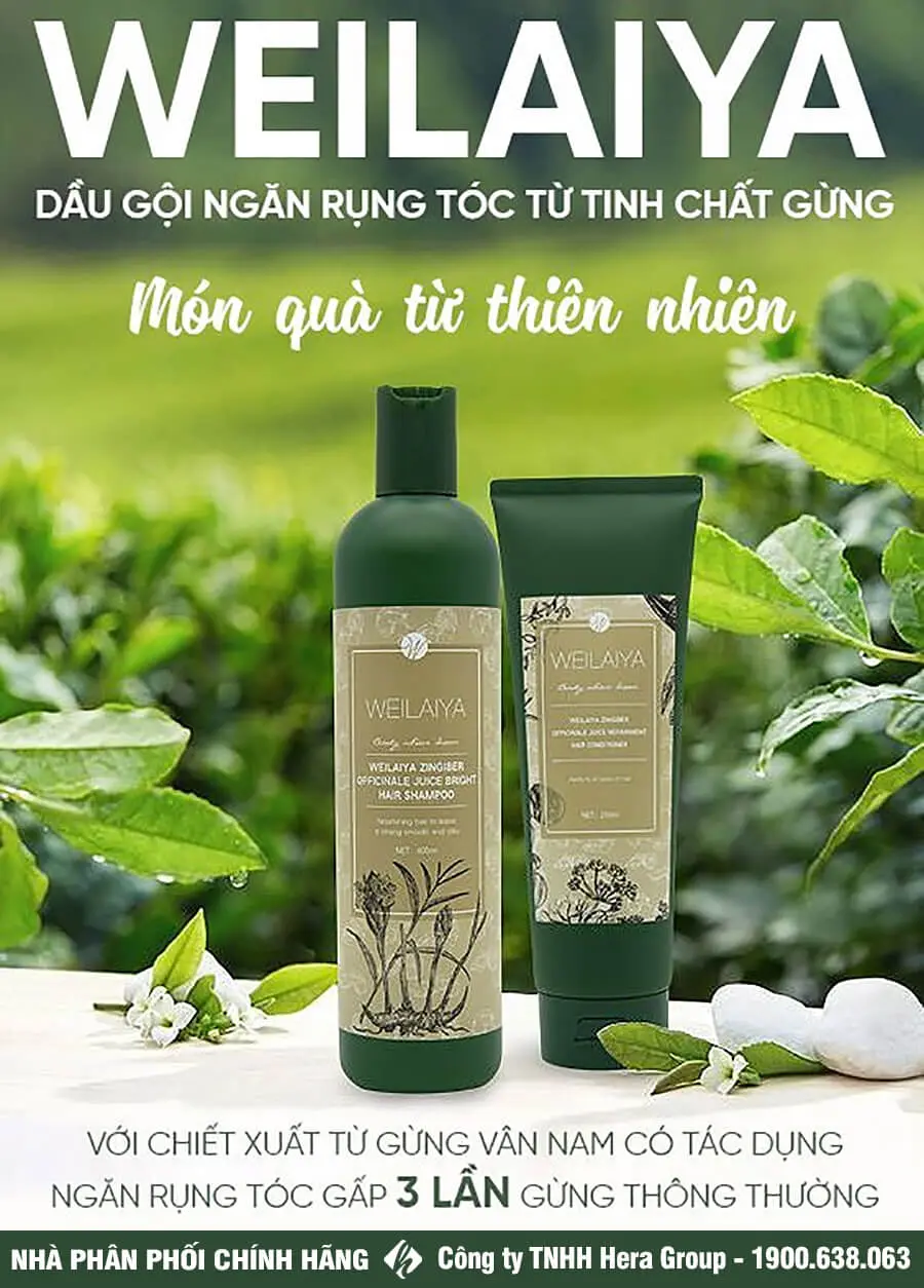 thành phần bộ dầu gội xả gừng hà thủ ô weilaiya myphamhera.com