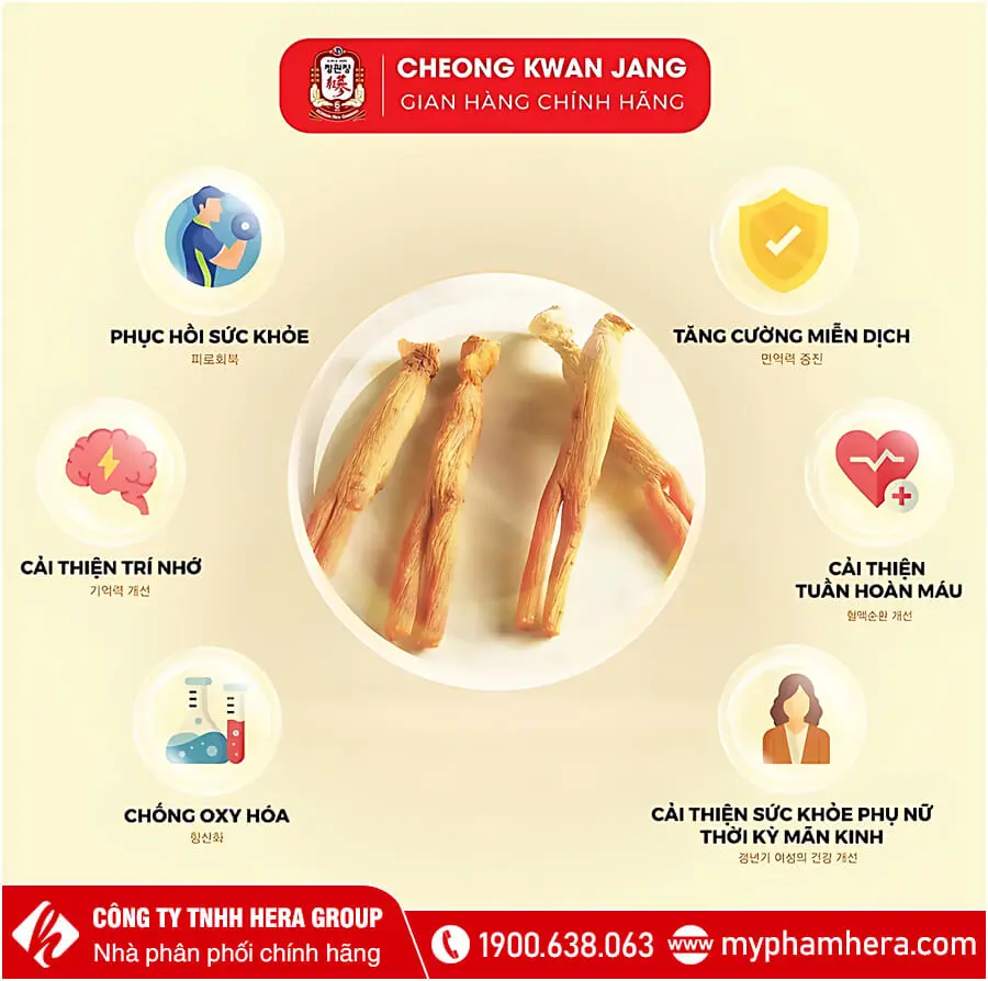 thành phần Hồng Sâm KGC Cheong Kwan Jang myphamhera.com