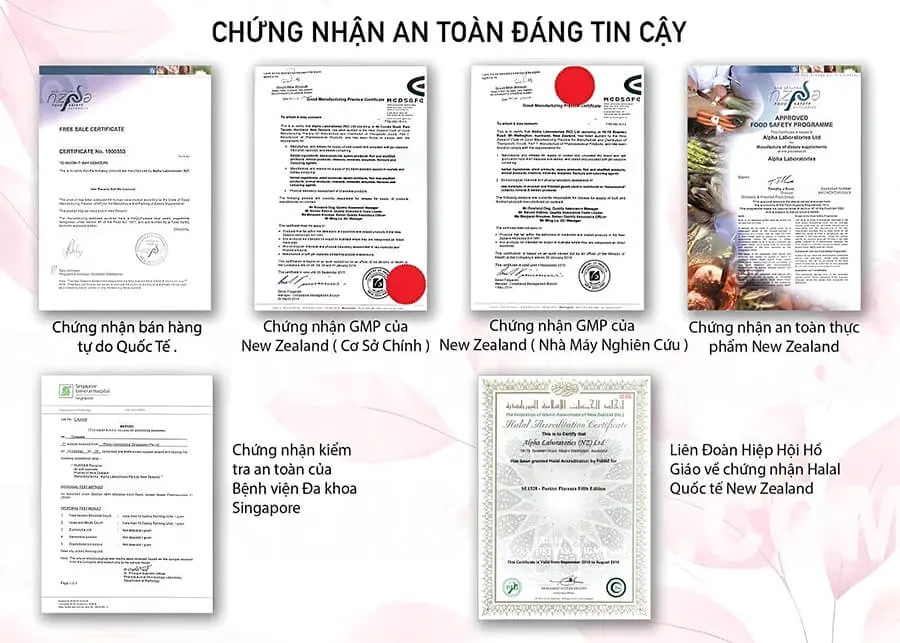 giấy chứng nhận nhau thai hươu Purtier Placenta 7th Edition myphamhera.com