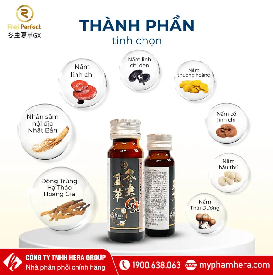 thành phần Nước uống Đông Trùng Hạ Thảo Tochukasou GX Reiperfect Drink myphamhera.com