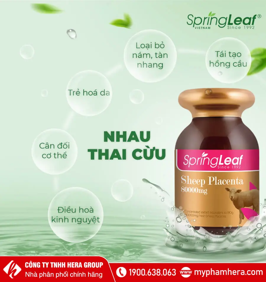 công dụng Viên uống nhau thai cừu Spring Leaf Sheep Placenta