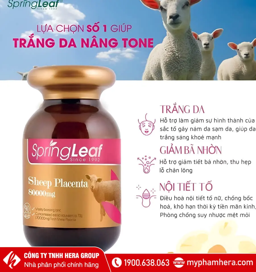 Viên uống nhau thai cừu Spring Leaf Sheep Placenta