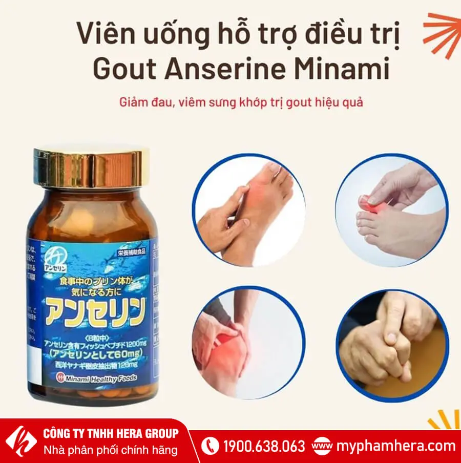 công dụng Viên uống hỗ trợ Gout Anserine Minami