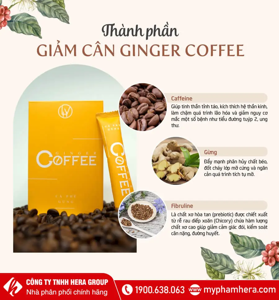 thành phần Cà phê gừng giảm cân Ginger Coffee myphamhera.com