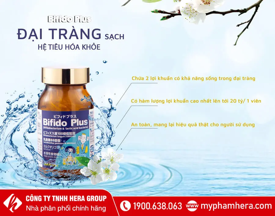 thành phần Viên uống hỗ trợ đại tràng Bifido Plus Jpanwell