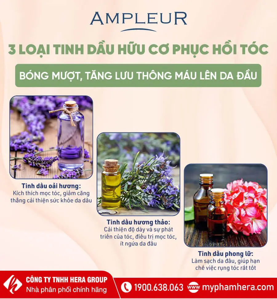 mặt nạ ủ tóc ampleur myphamhera.com