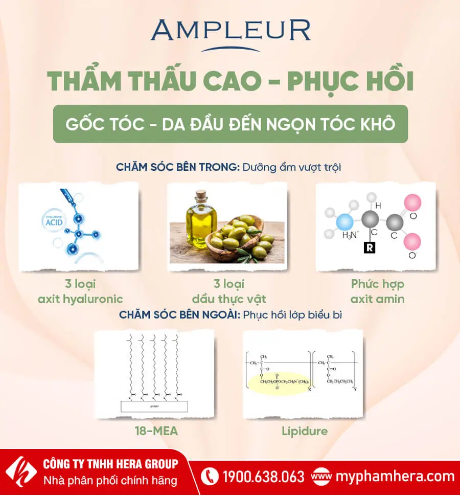 thành phần mặt nạ ủ tóc ampleur myphamhera.com