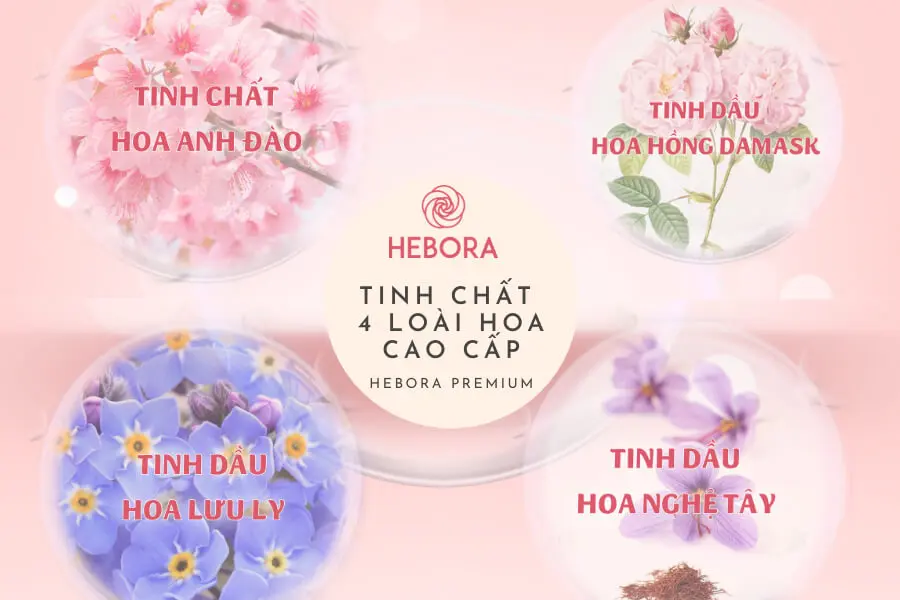 Tiết Lộ 5 Tác dụng của viên uống Hebora dành cho phái đẹp