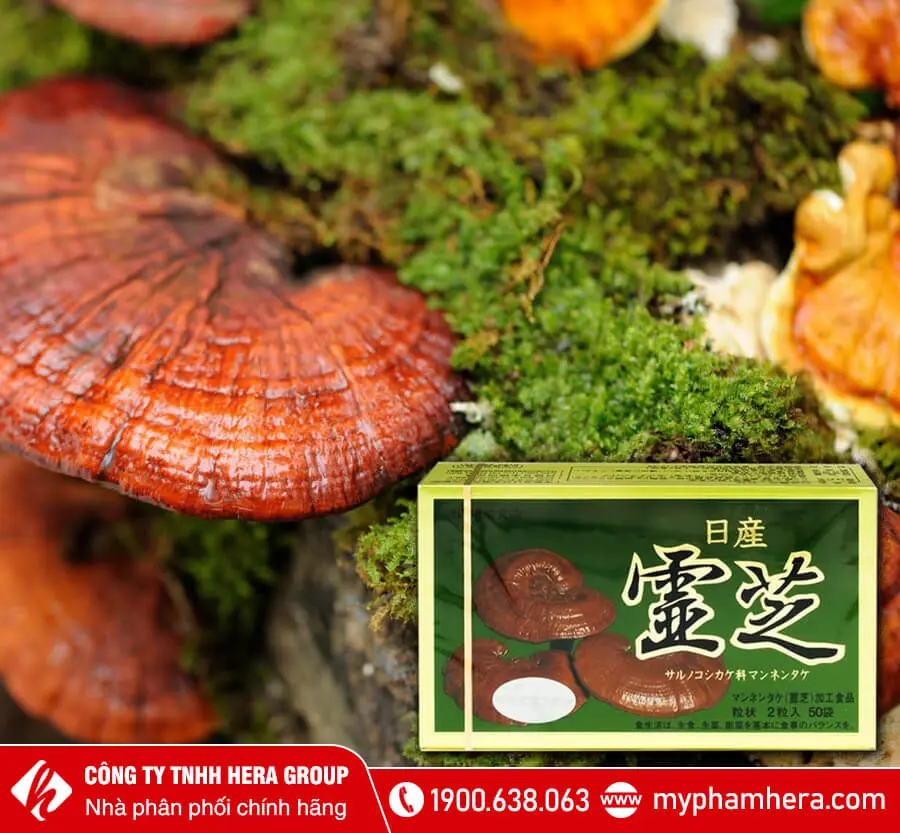 Viên uống Nấm Linh Chi Đỏ Nissan Reishi