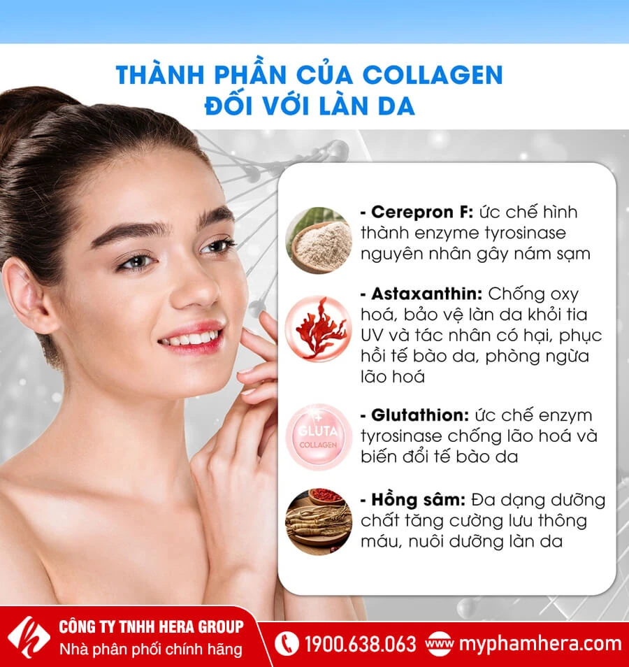 thành phần viên uống Collagen Dakami Shinning Skin myphamhera.com