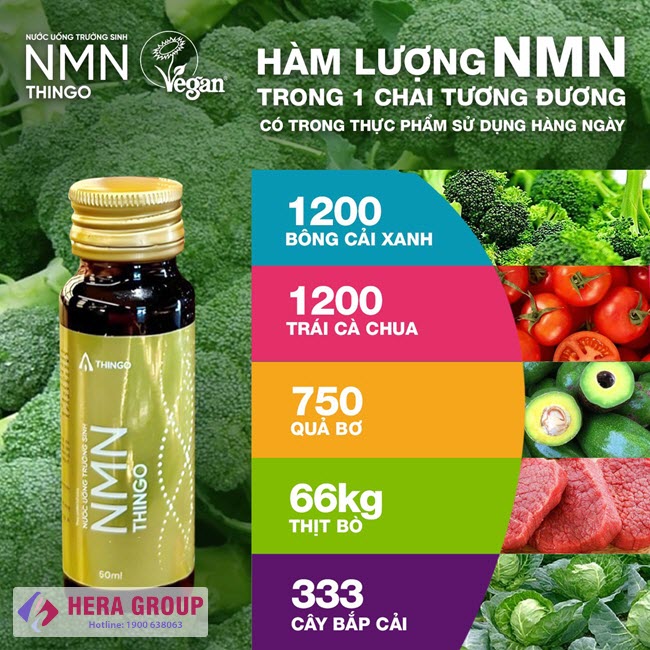 Thành phần nước uống NMN Thingo